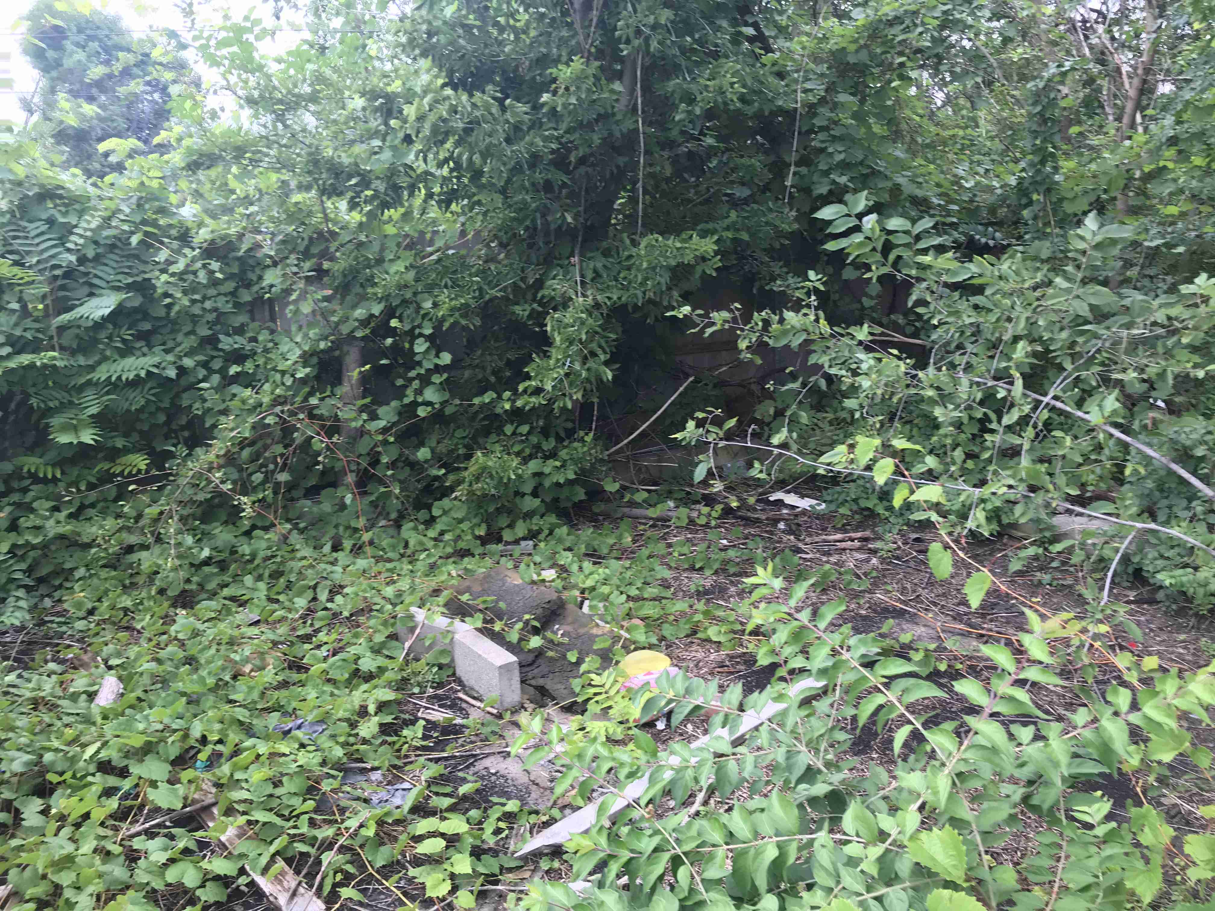 Photo Sep 09, 4 21 21 PM.jpg